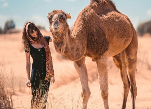 6 Días de Tánger a Marrakech vía Desierto